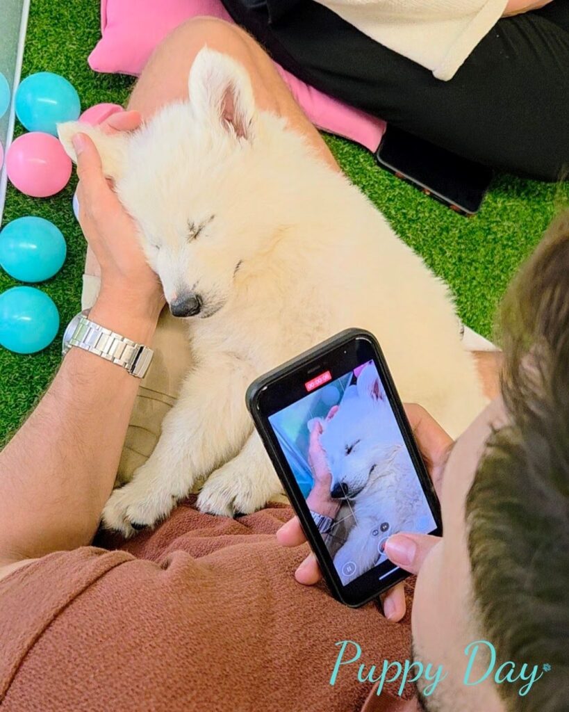 kolega fotí spící štěně při kontakt puppy day, kontakt